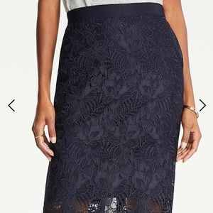 Ann Taylor Lace Pencil Skirt